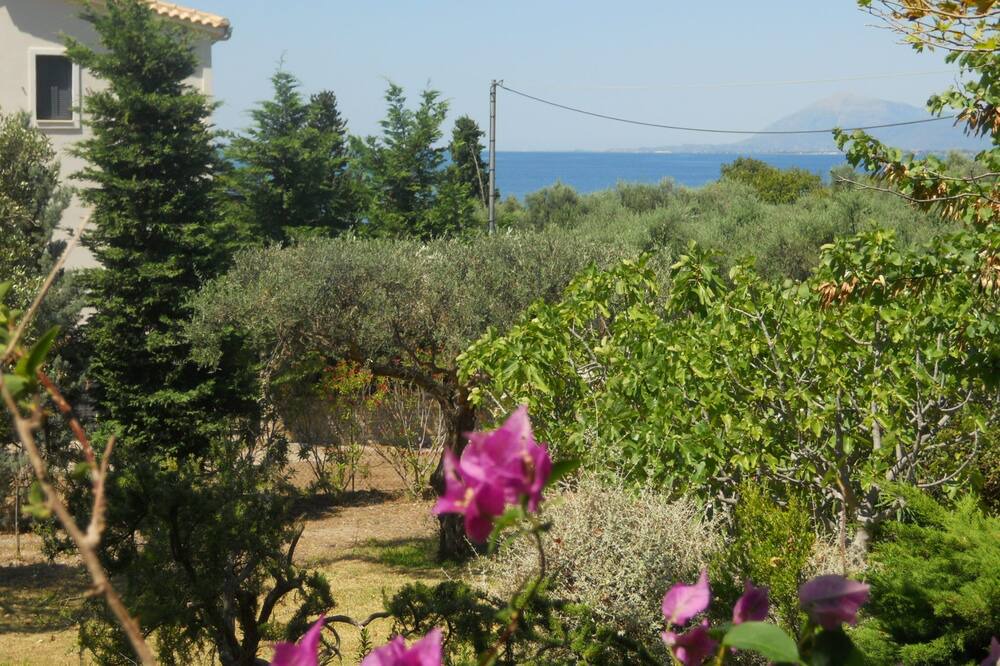 Photo of Outdoor in Skaloma