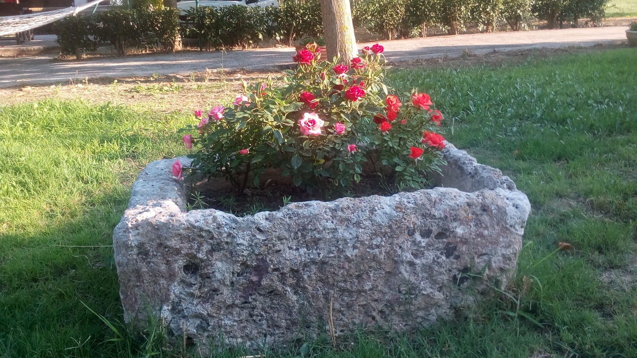 Photo of Outdoor in Psarou