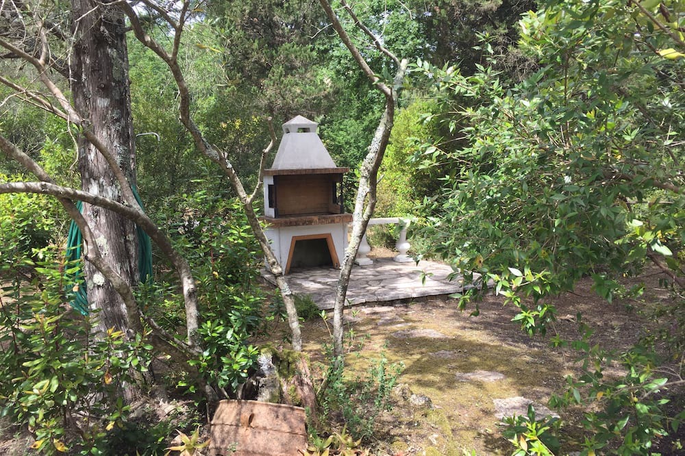 Photo of Outdoor in Gazatika