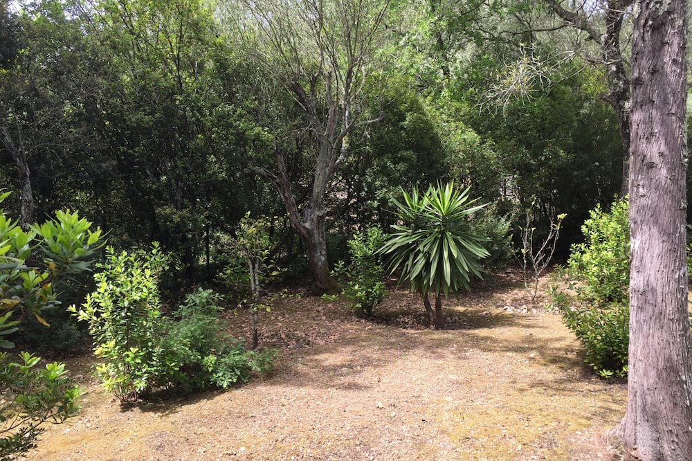 Photo of Outdoor in Gazatika