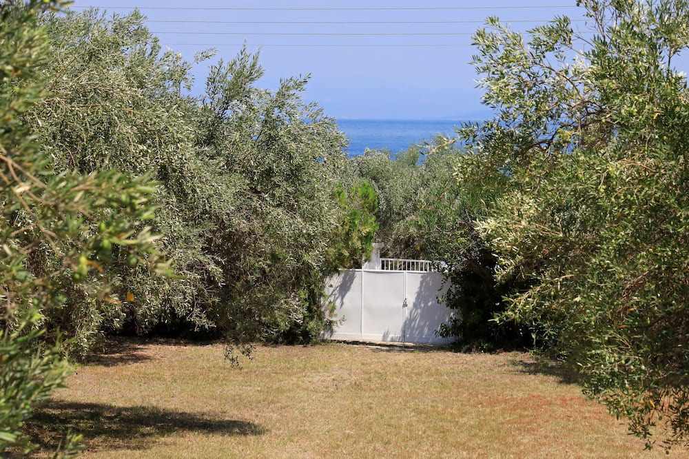Photo of Others in Polichrono