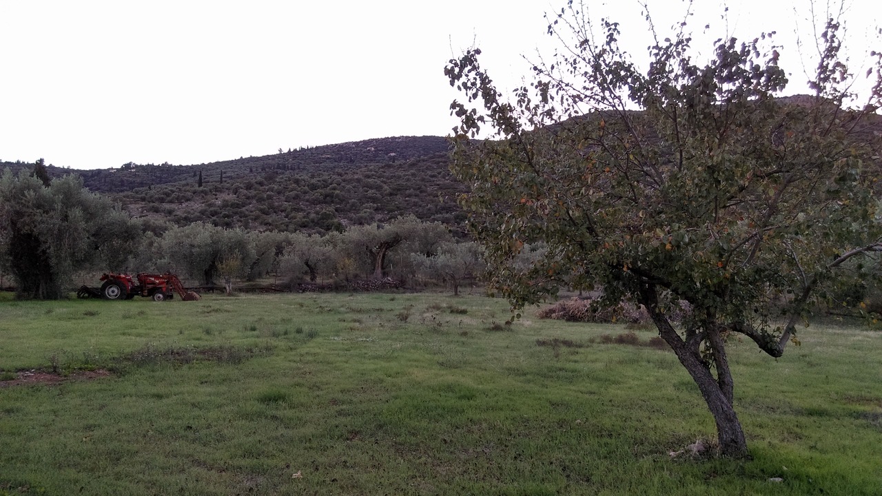 Photo of Buildings in Galaxidi