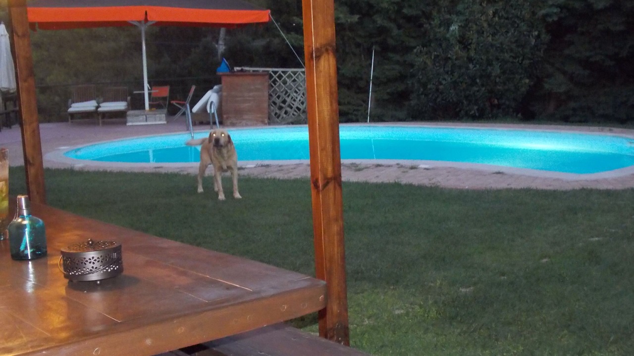 Photo of Outdoor in Ormos Agiou Ioannou