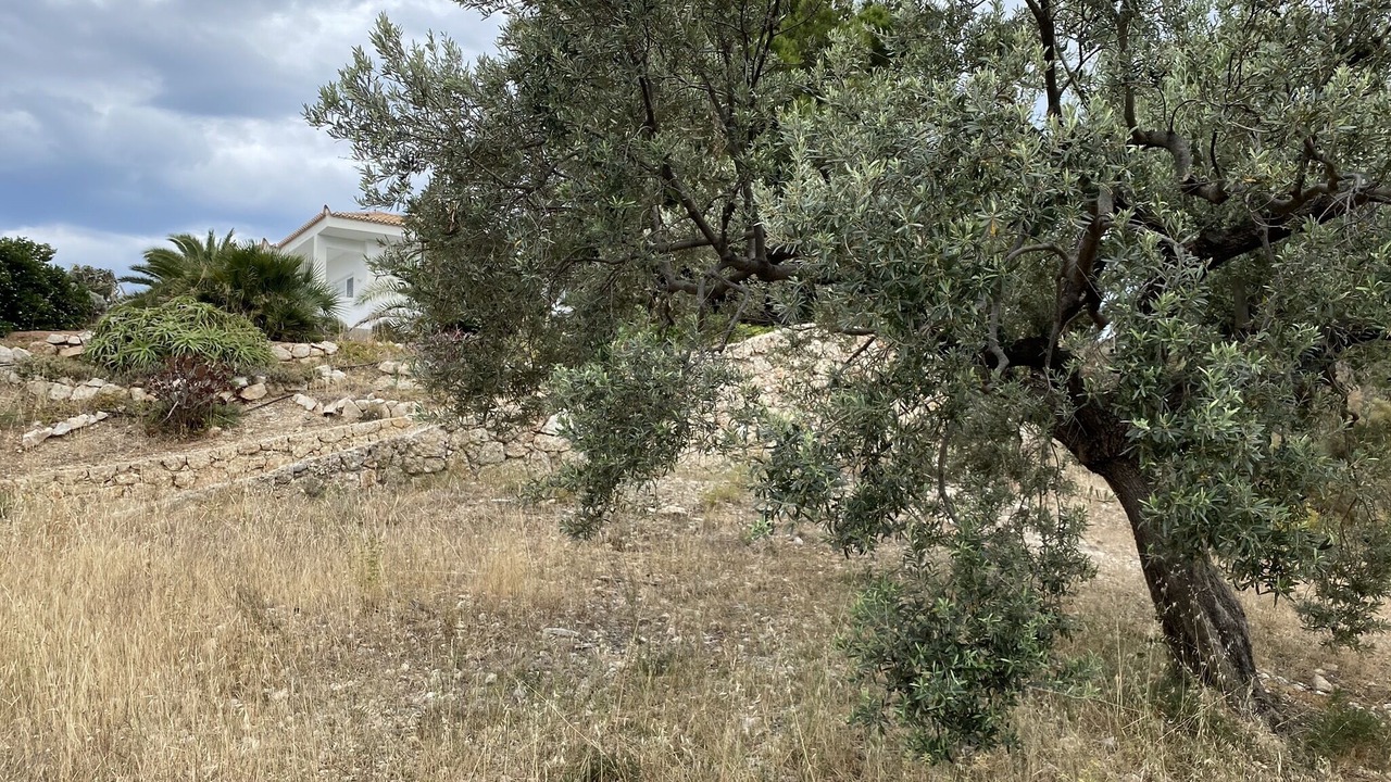 Photo of Outdoor in Agios Emilianos