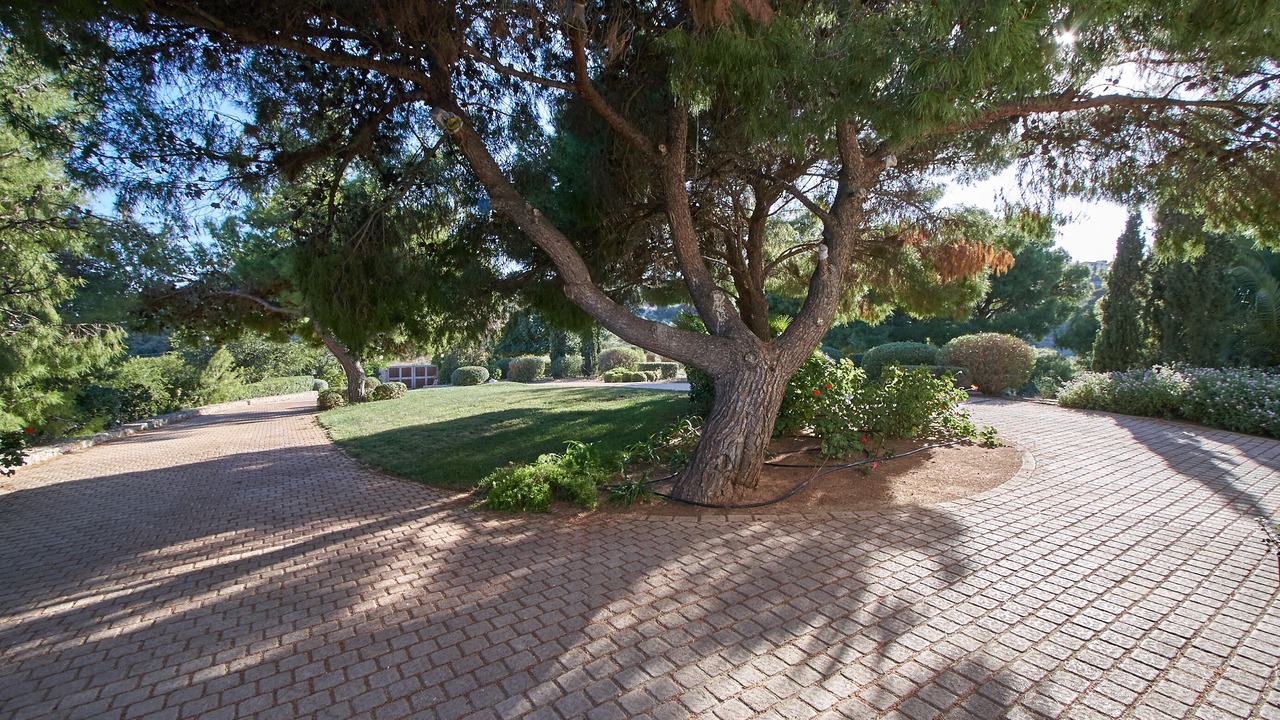 Photo of Outdoor in Agios Emilianos