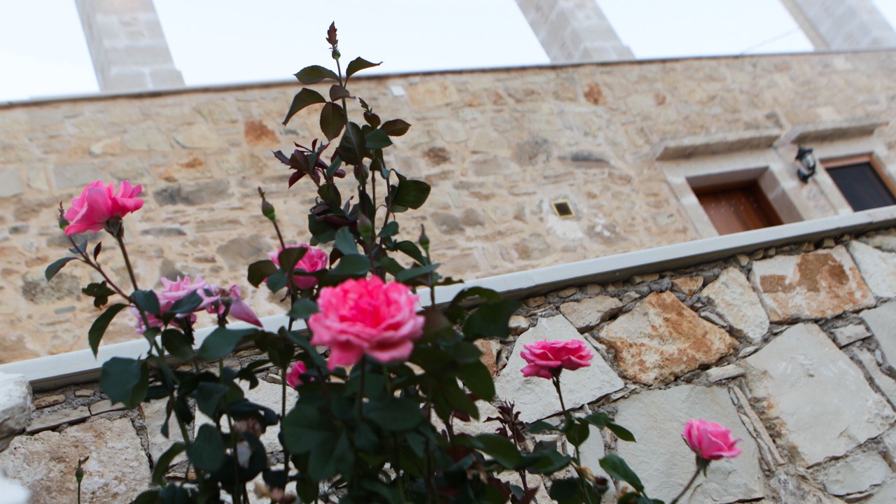 Photo of Outdoor in Zouridi