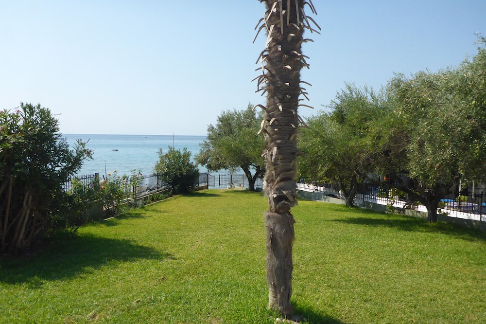 Photo of Outdoor in Mola Kalyva