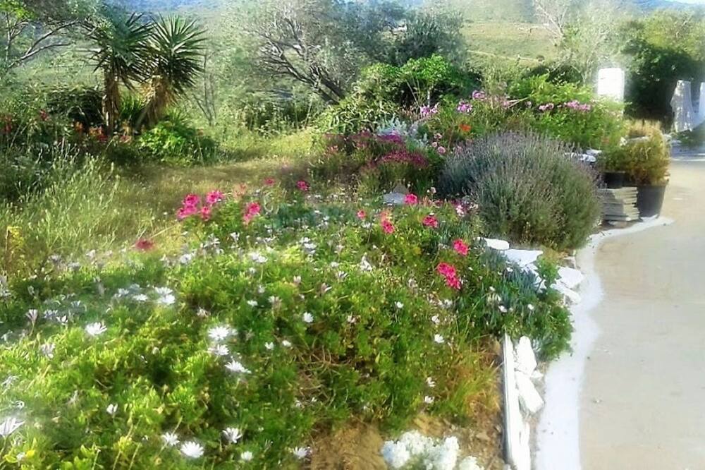 Photo of Outdoor in Kea