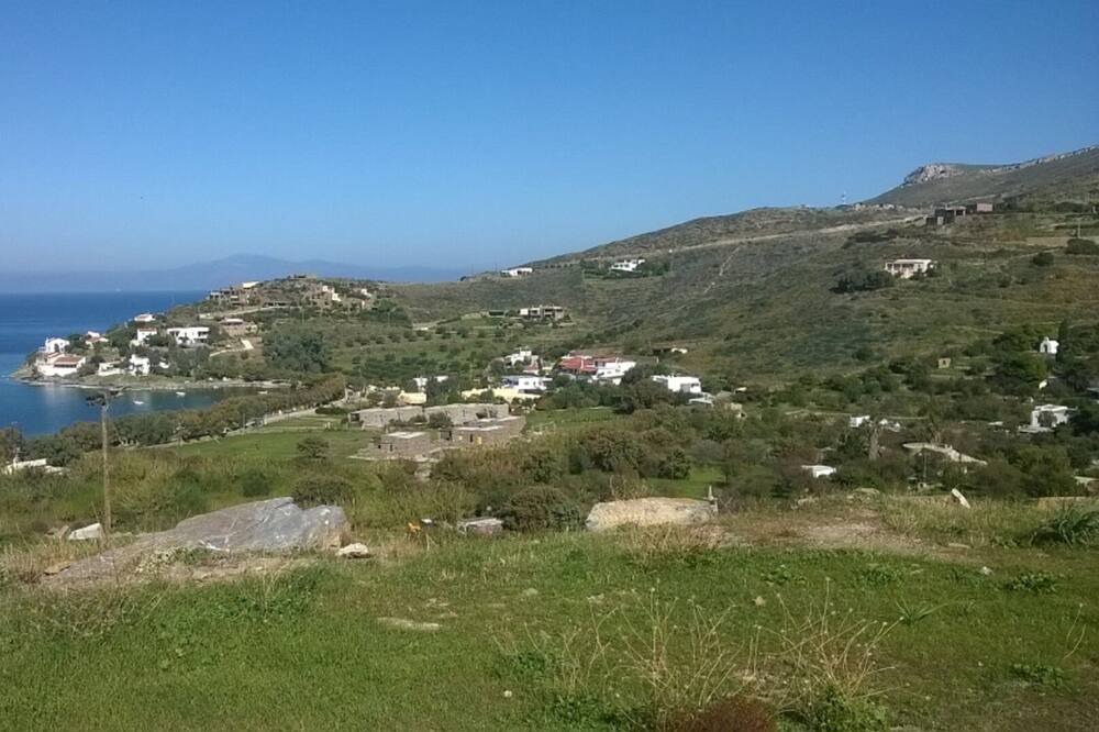 Photo of Others in Kea