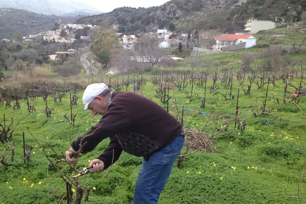 Photo of Outdoor in Sivritos