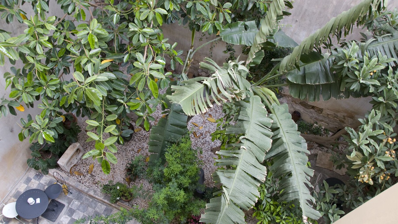 Photo of Outdoor in Psirri