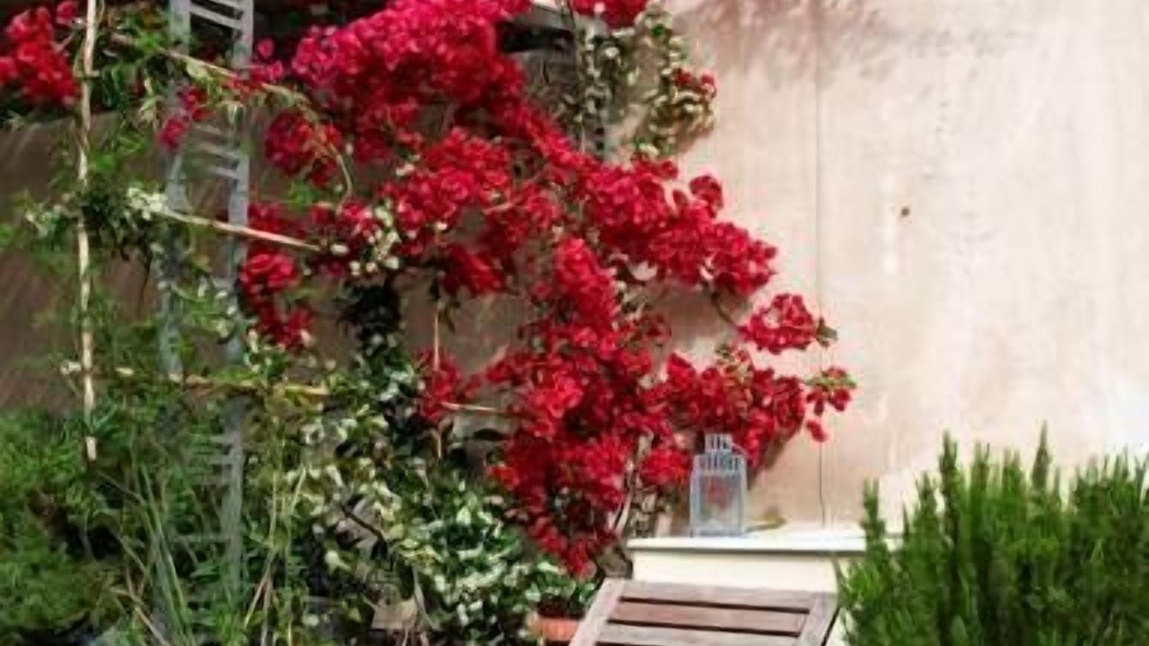 Photo of Outdoor in Psirri