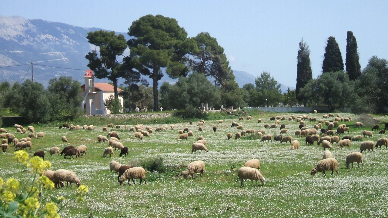 Photo of Outdoor in Kaligata