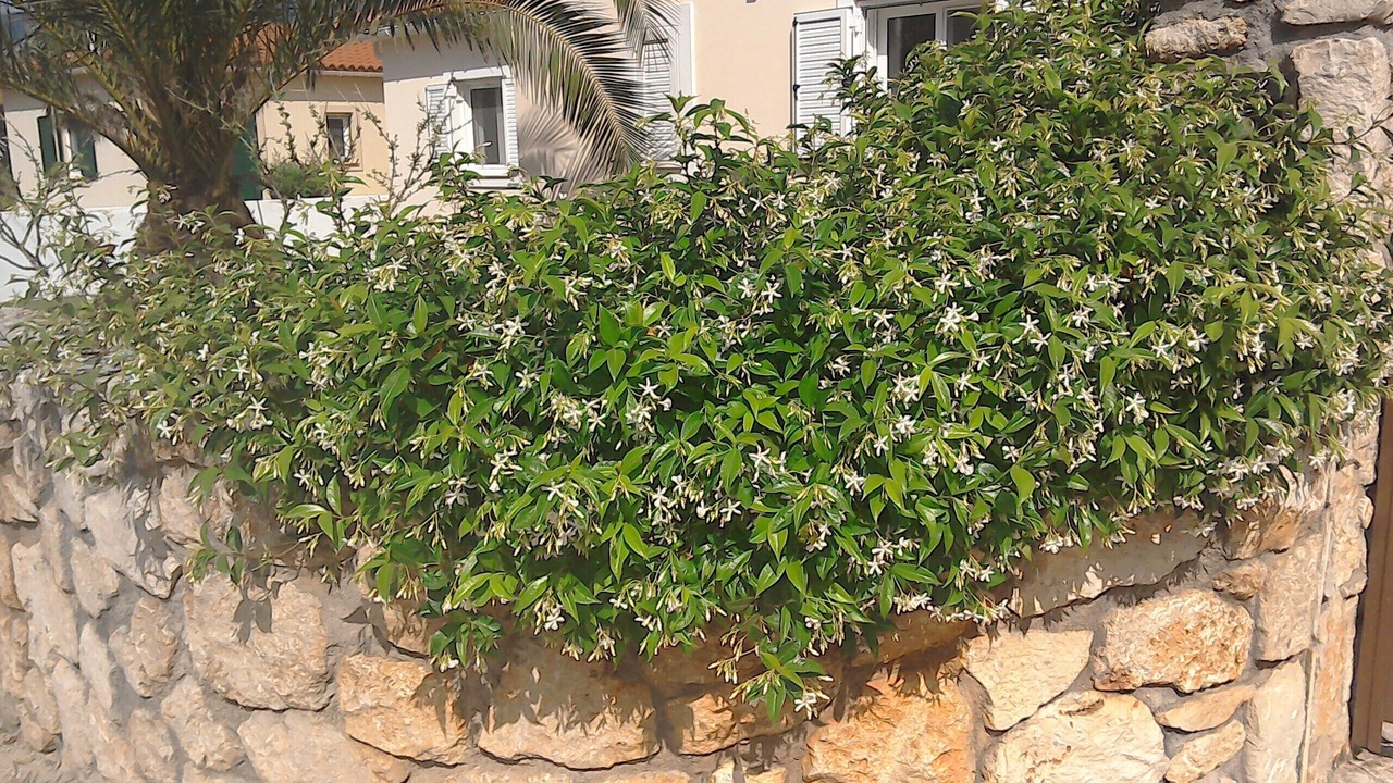 Photo of Outdoor in Kaligata