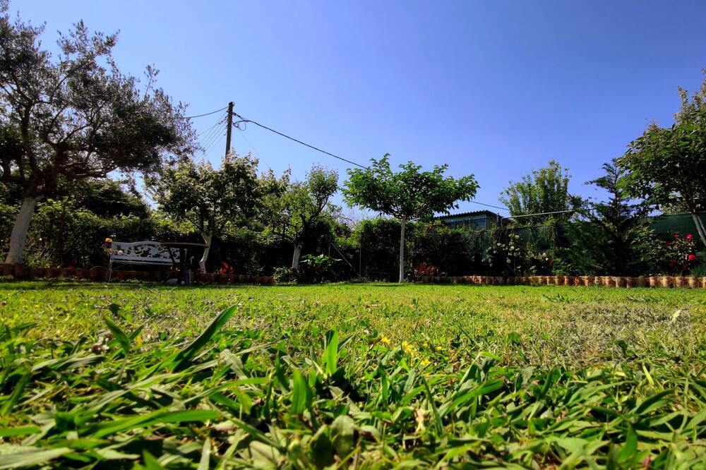 Photo of Outdoor in Sidari
