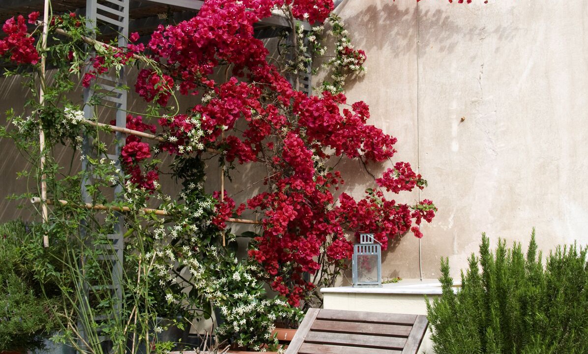 Photo of Outdoor in Psirri