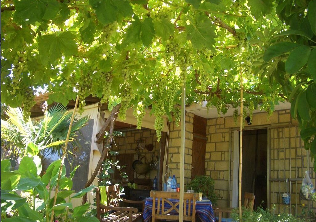 Photo of Outdoor in Zerviana