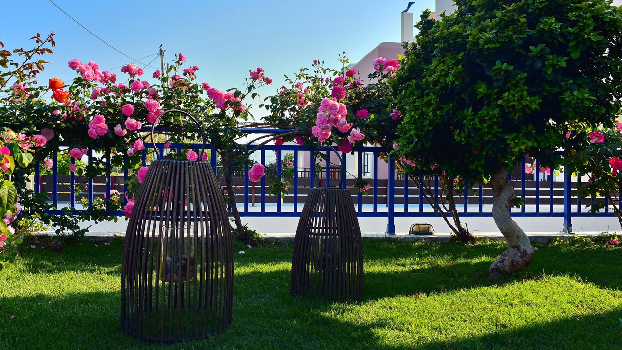 Photo of Outdoor in Afandou