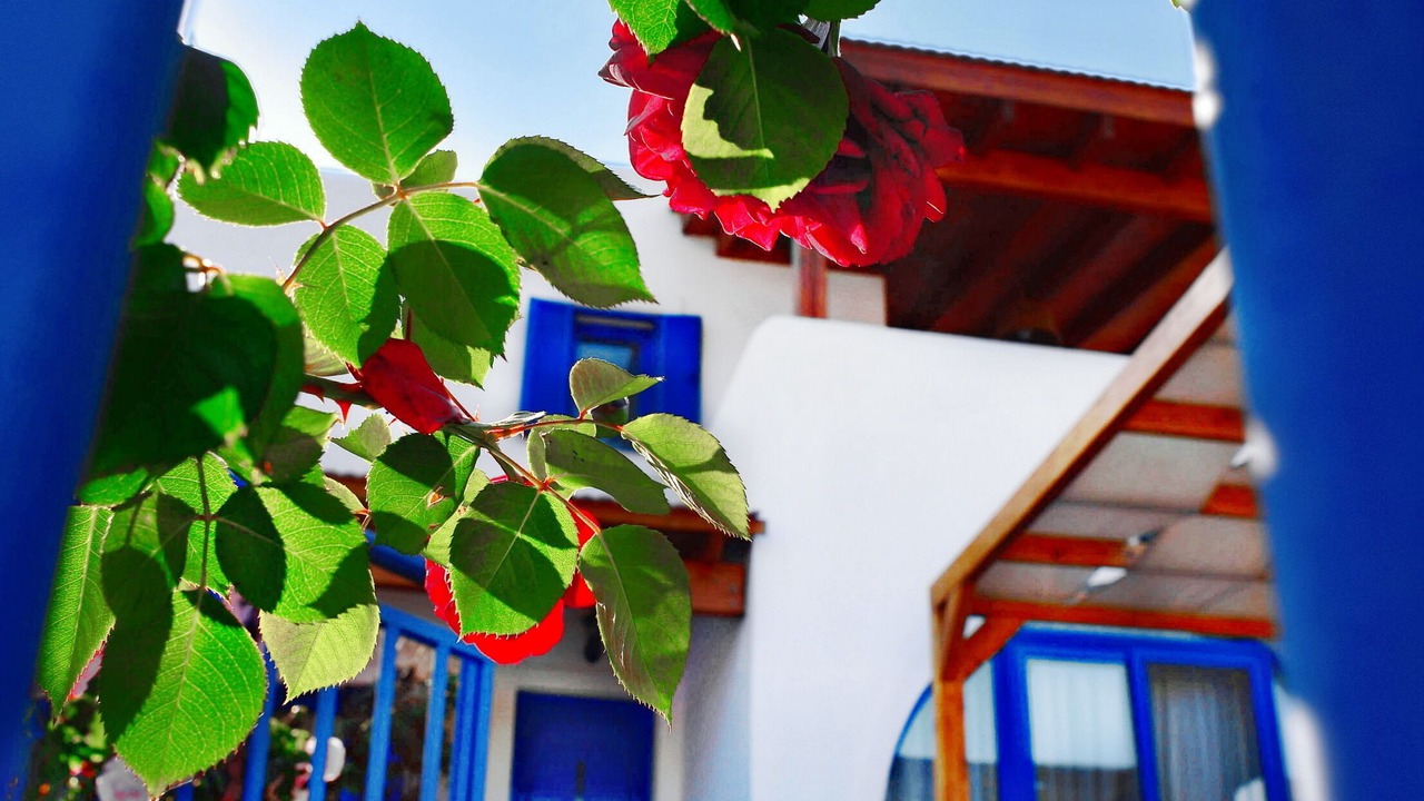Photo of Outdoor in Afandou