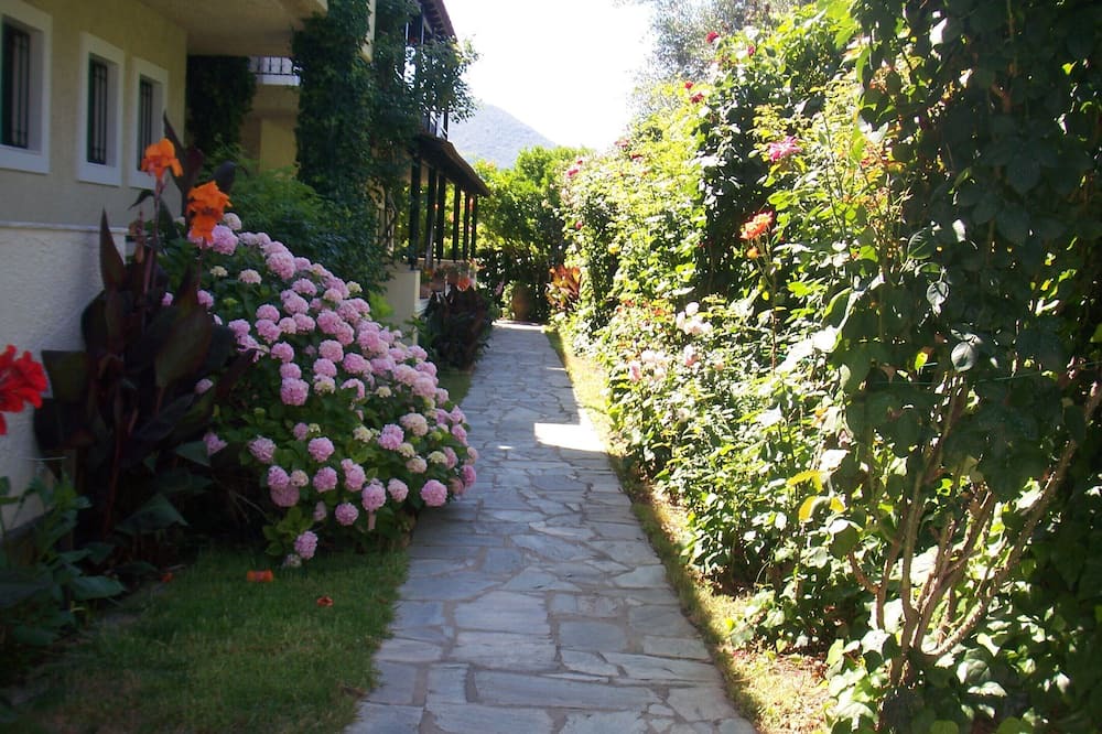 Photo of Outdoor in Moraitika