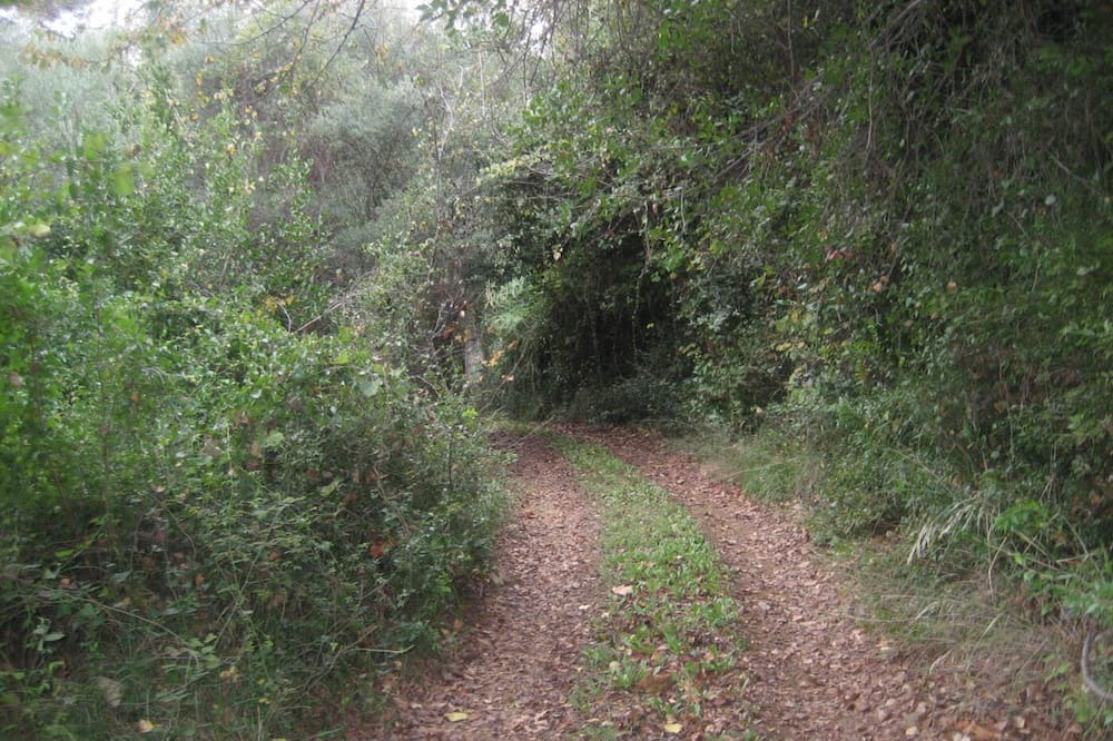 Photo of Outdoor in Kato Vrontou