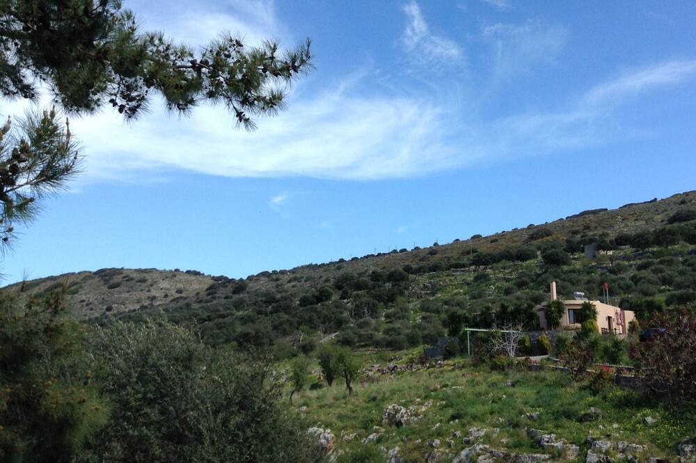 Photo of Outdoor in Kounelion