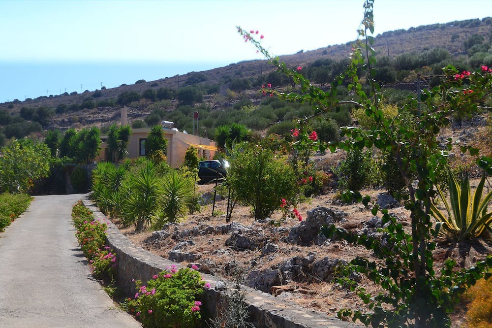 Photo of Outdoor in Kounelion