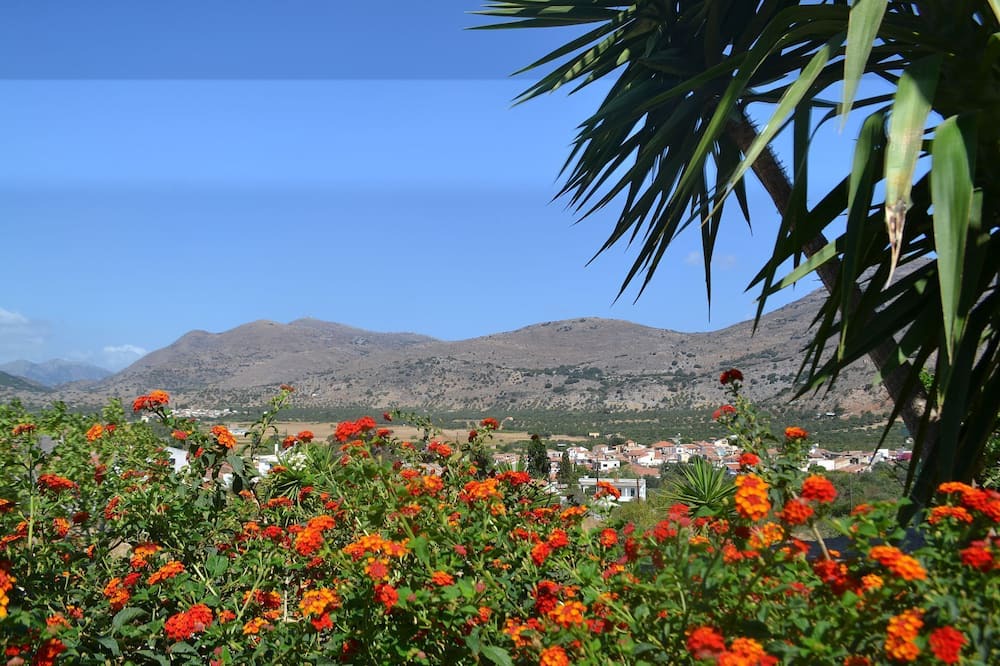 Photo of Outdoor in Kounelion