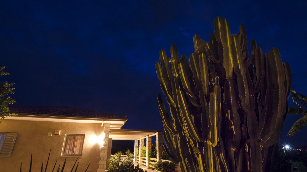 Photo of Outdoor in Lagopodo