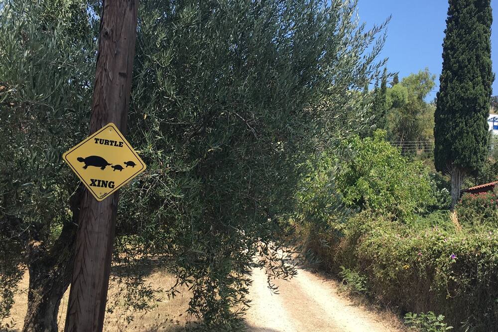 Photo of Outdoor in Gialova