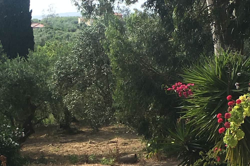 Photo of Outdoor in Gialova