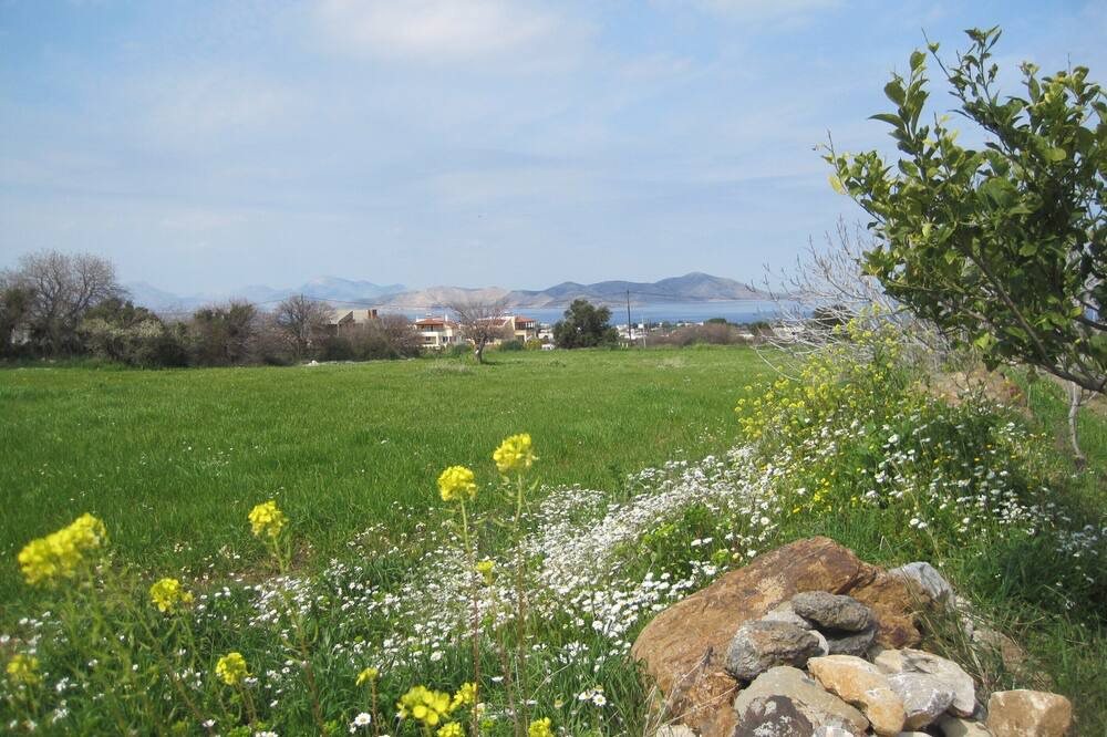 Photo of Others in Kos