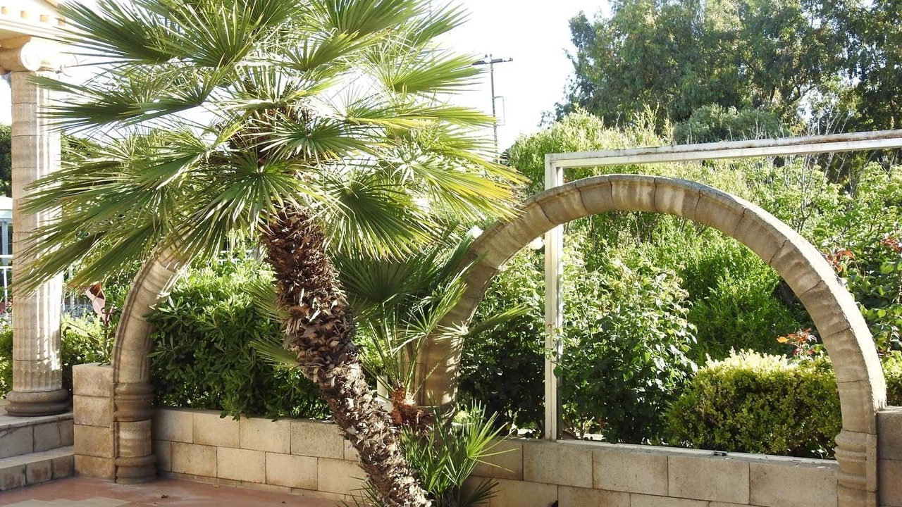 Photo of Outdoor in Theologos
