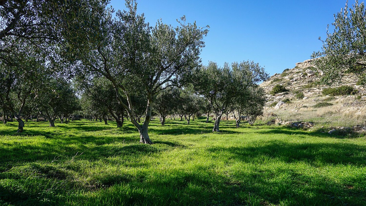 Photo of Outdoor in Vigklafia