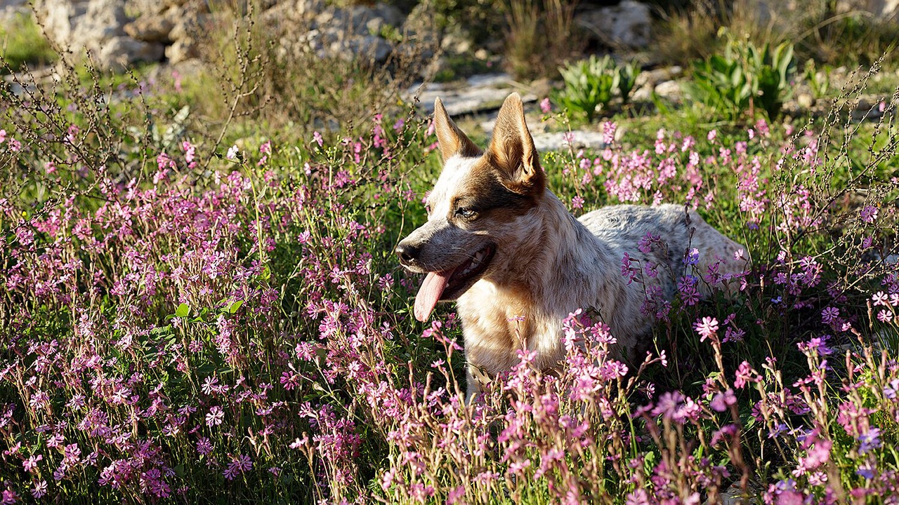 Photo of Outdoor in Vigklafia