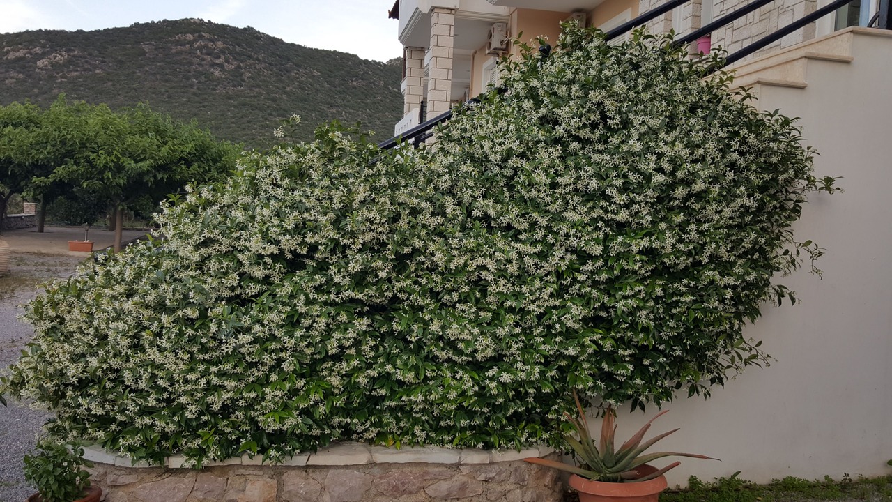 Photo of Outdoor in Tiros