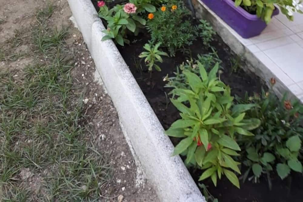 Photo of Outdoor in Alonia