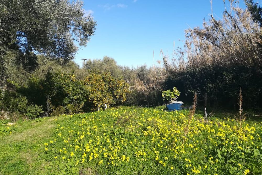 Photo of Outdoor in Alonia