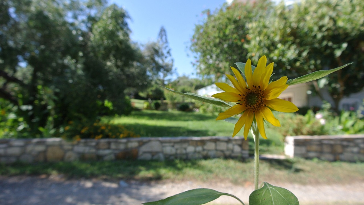 Photo of Outdoor in Korfalonas