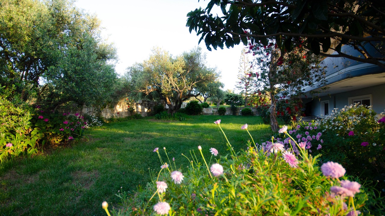 Photo of Outdoor in Korfalonas