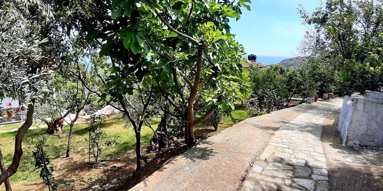 Photo of Outdoor in Papa Nero