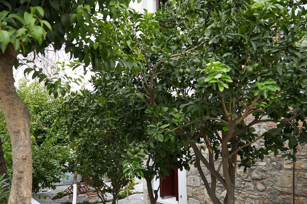 Photo of Outdoor in Vrontados