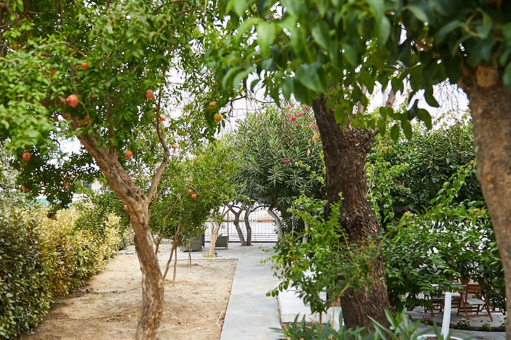 Photo of Outdoor in Vrontados