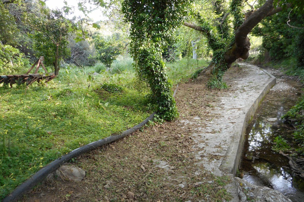 Photo of Others in Psinthos