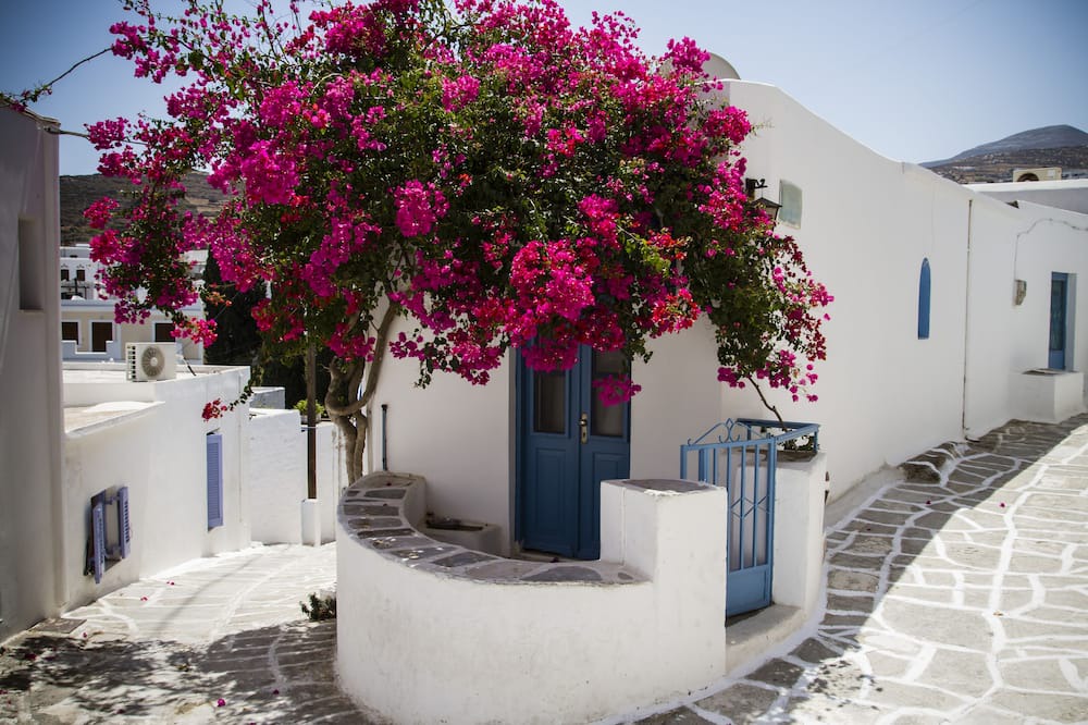 Photo of Others in Lefkes
