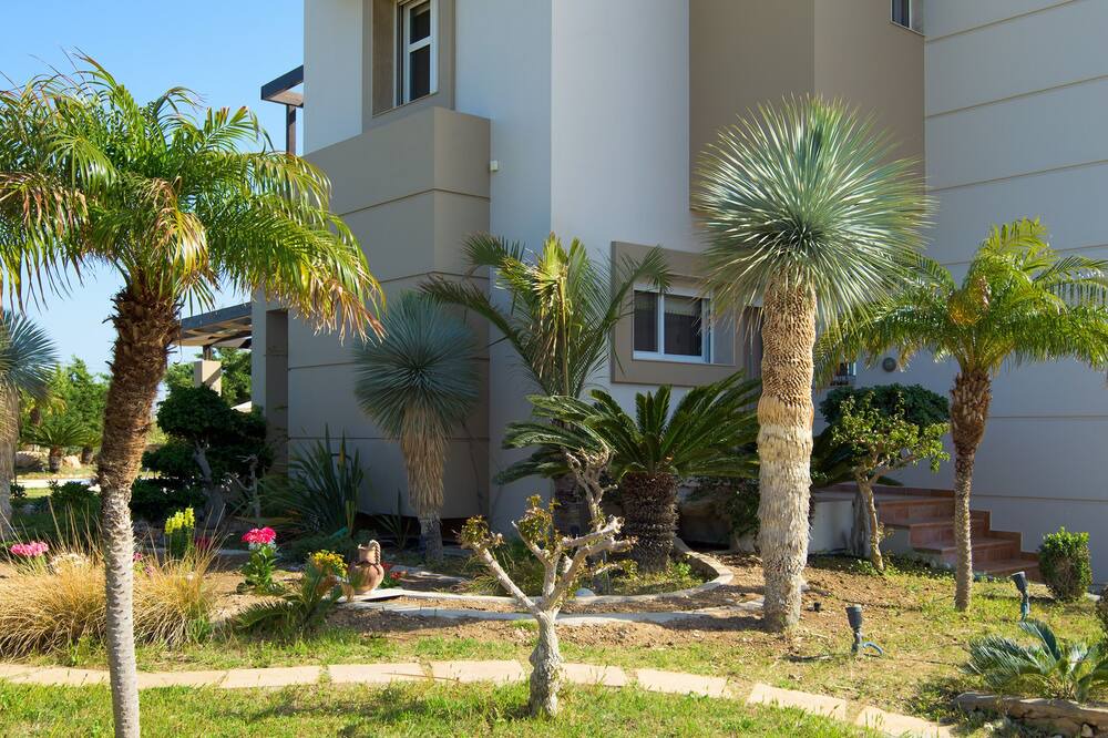 Photo of Outdoor in Afandou