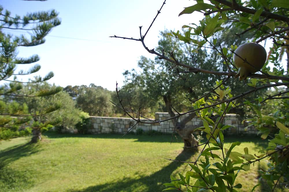 Photo of Others in Korfalonas