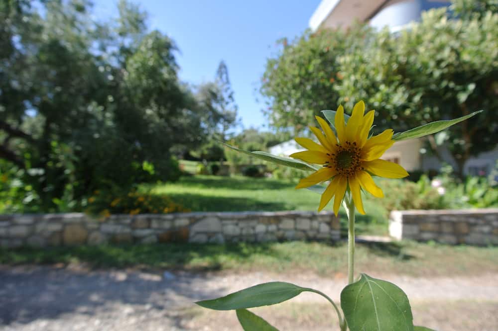 Photo of Others in Korfalonas