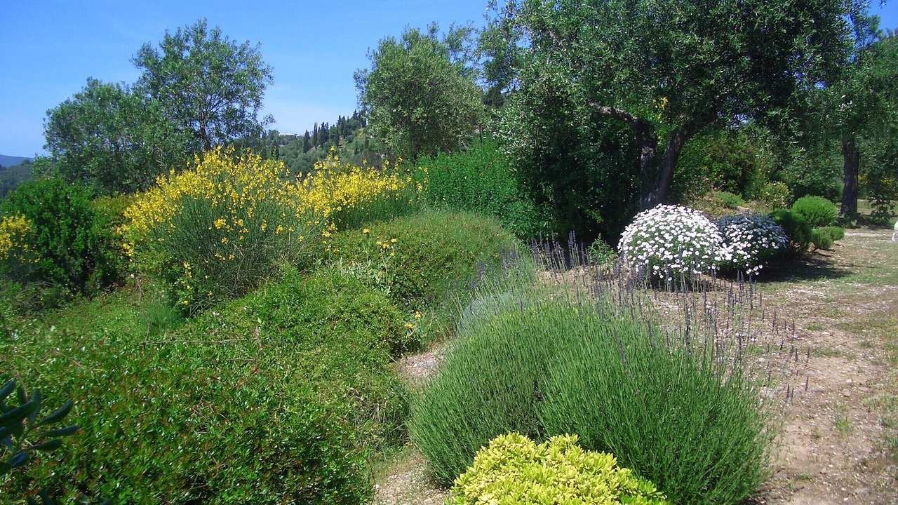 Photo of Outdoor in Pelekas