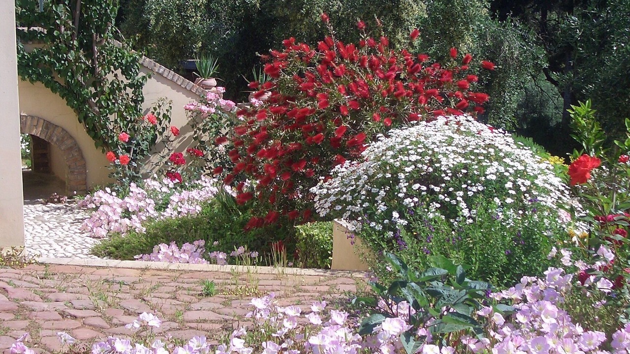 Photo of Outdoor in Pelekas